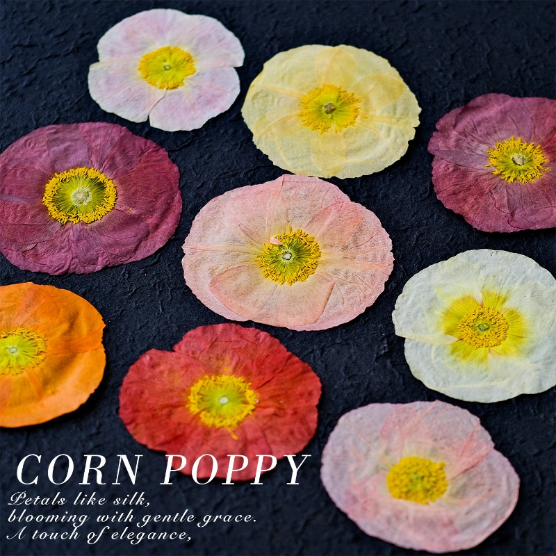 1pcs,Nature Field Poppy Presse - огляд і ціна Resin Art Mold